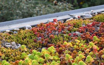 the cost of Aultivullin green roof installation